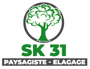 SK 31