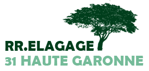 elagage-rr-elagage